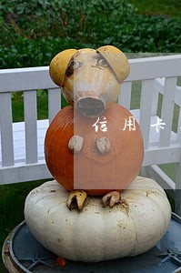 信用卡逾期会冻结五保户吗 信用卡逾期会冻结五保户吗