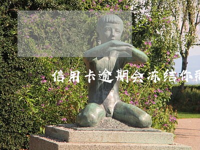 信用卡逾期会冻结你那些账户 信用卡逾期会冻结你那些账户