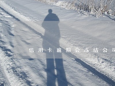 信用卡逾期会冻结公司吗