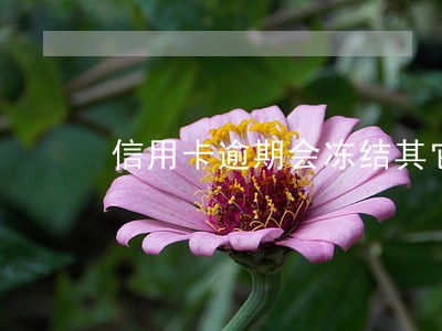 信用卡逾期会冻结其它信用卡吗