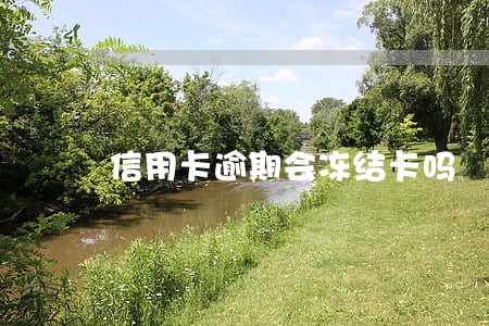 信用卡逾期会冻结卡吗 信用卡逾期会冻结卡吗