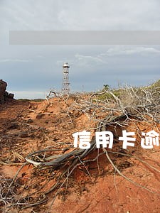 信用卡逾期会冻结名下财产么