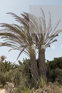 信用卡逾期会冻结多久 信用卡逾期会冻结多久