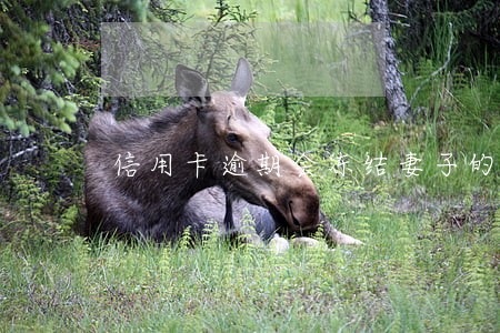 信用卡逾期会冻结妻子的卡吗 信用卡逾期会冻结妻子的卡吗