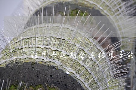 信用卡逾期会冻结孩子的卡吗 信用卡逾期会冻结孩子的卡吗