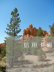 信用卡逾期会冻结家属资金吗 信用卡逾期会冻结家属资金吗