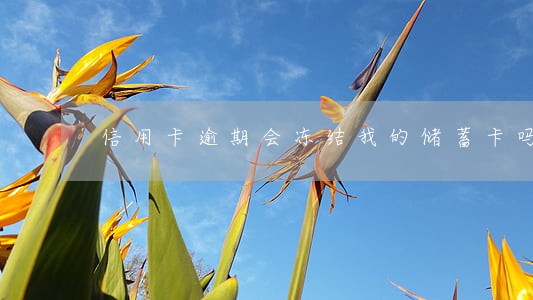 信用卡逾期会冻结我的储蓄卡吗 信用卡逾期会冻结我的储蓄卡吗
