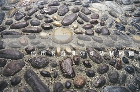 信用卡逾期会冻结我的储蓄卡嘛 信用卡逾期会冻结我的储蓄卡嘛