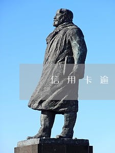 信用卡逾期会冻结我老婆车么