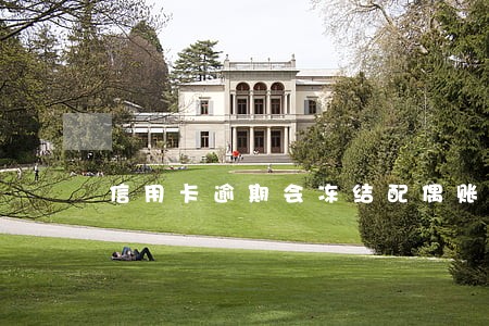 信用卡逾期会冻结配偶账户 信用卡逾期会冻结配偶账户