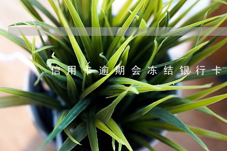 信用卡逾期会冻结银行卡 信用卡逾期会冻结银行卡