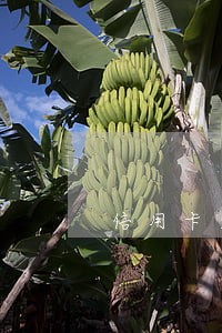 信用卡逾期会冻给储蓄卡吗 信用卡逾期会冻给储蓄卡吗