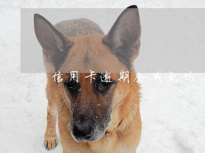 信用卡逾期会减免吗 信用卡逾期会减免吗