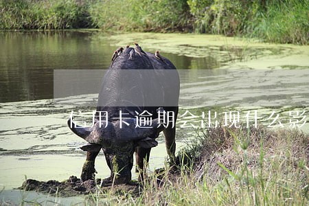 信用卡逾期会出现什么影响