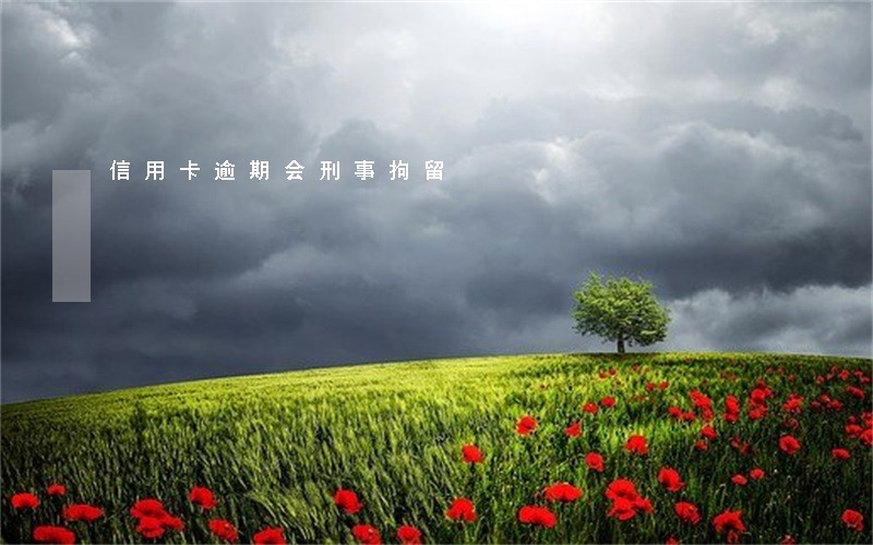 信用卡逾期会刑事拘留 信用卡逾期会刑事拘留