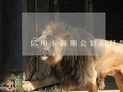 信用卡逾期会划扣其他银行卡的钱 信用卡逾期会划扣其他银行卡的钱