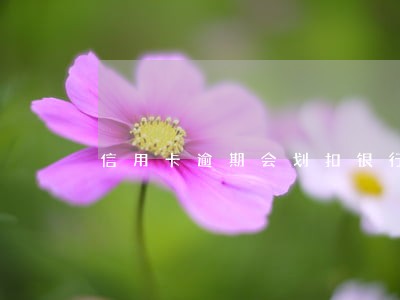 信用卡逾期会划扣银行卡吗 信用卡逾期会划扣银行卡吗
