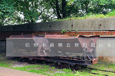 信用卡逾期会划扣银行卡工资吗 信用卡逾期会划扣银行卡工资吗