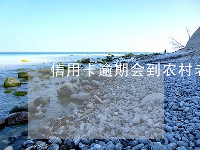 信用卡逾期会到农村老家催款吗 信用卡逾期会到农村老家催款吗