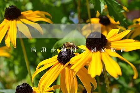 信用卡逾期会到家取证