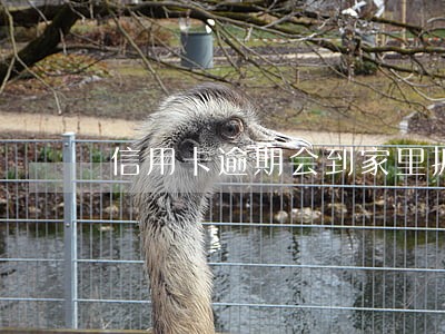 信用卡逾期会到家里抓人吗 信用卡逾期会到家里抓人吗