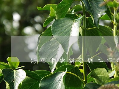 信用卡逾期会到工作地去吗 信用卡逾期会到工作地去吗