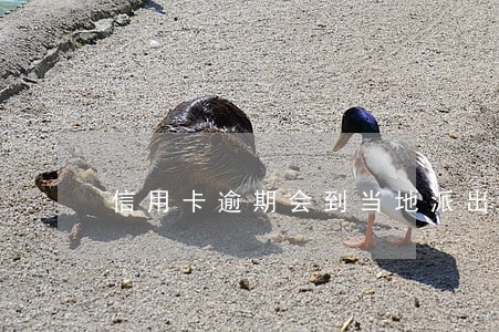 信用卡逾期会到当地派出所吗 信用卡逾期会到当地派出所吗