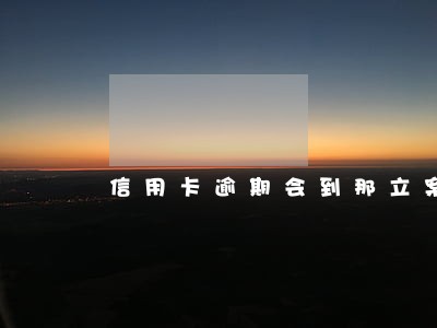 信用卡逾期会到那立案