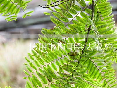 信用卡逾期会去农村上门催收吗 信用卡逾期会去农村上门催收吗