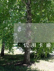 信用卡逾期会去家访吗 信用卡逾期会去家访吗