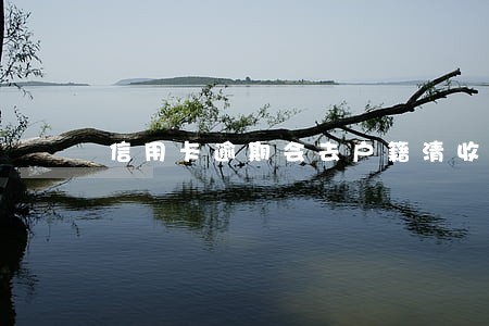 信用卡逾期会去户籍清收吗