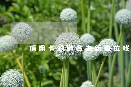 信用卡逾期会去新单位找吗