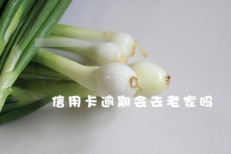 信用卡逾期会去老家吗 信用卡逾期会去老家吗