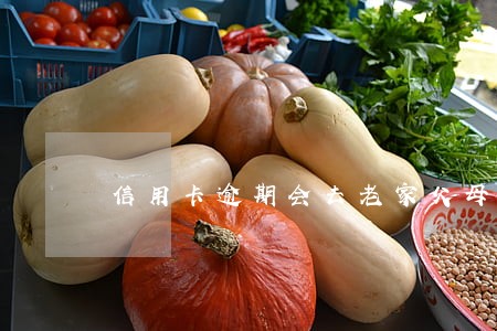 信用卡逾期会去老家父母那吗 信用卡逾期会去老家父母那吗