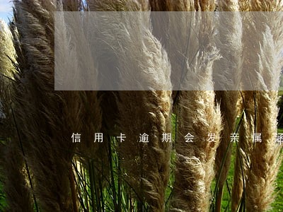 信用卡逾期会发亲属涵吗 信用卡逾期会发亲属涵吗