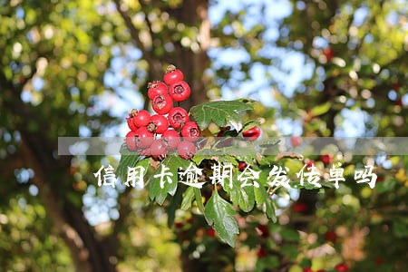 信用卡逾期会发传单吗 信用卡逾期会发传单吗