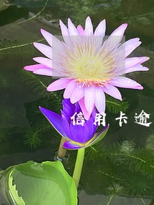 信用卡逾期会发传票么 信用卡逾期会发传票么