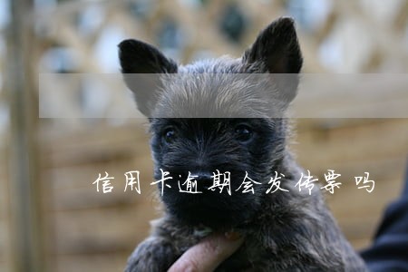 信用卡逾期会发传票吗