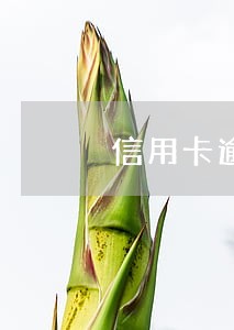 信用卡逾期会发信件到村委嘛 信用卡逾期会发信件到村委嘛