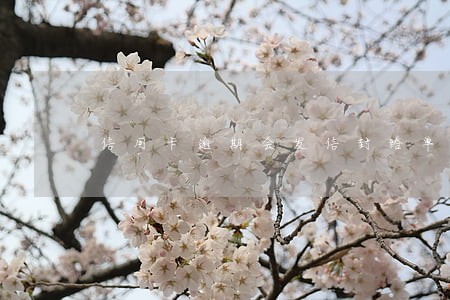 信用卡逾期会发信封给单位吗 信用卡逾期会发信封给单位吗