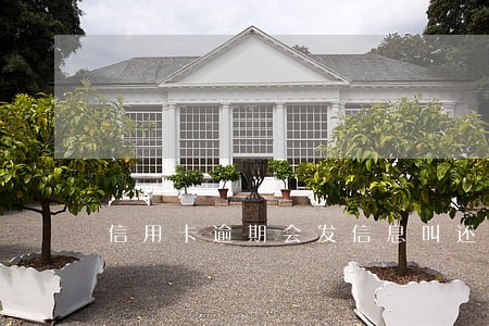 信用卡逾期会发信息叫还款吗 信用卡逾期会发信息叫还款吗