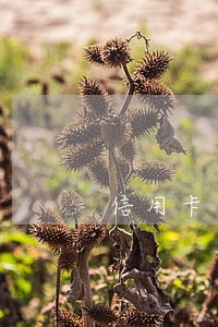 信用卡逾期会发执法办案短信吗 信用卡逾期会发执法办案短信吗