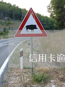 信用卡逾期会发生什么