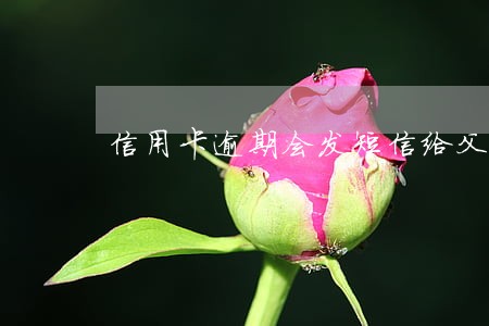 信用卡逾期会发短信给父母吗 信用卡逾期会发短信给父母吗