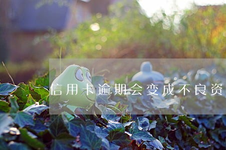 信用卡逾期会变成不良资产吗