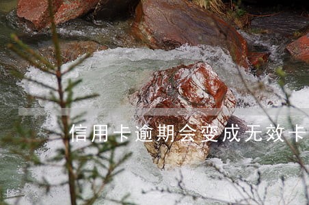 信用卡逾期会变成无效卡吗 信用卡逾期会变成无效卡吗