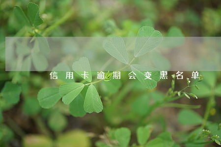 信用卡逾期会变黑名单 信用卡逾期会变黑名单