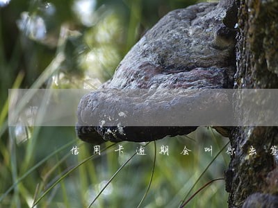 信用卡逾期会叫你去签东西么 信用卡逾期会叫你去签东西么