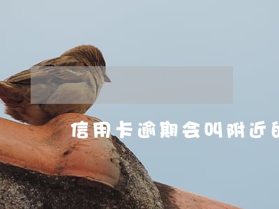 信用卡逾期会叫附近的分行上门吗 信用卡逾期会叫附近的分行上门吗