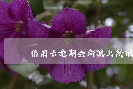 信用卡逾期会向派出所报案吗
